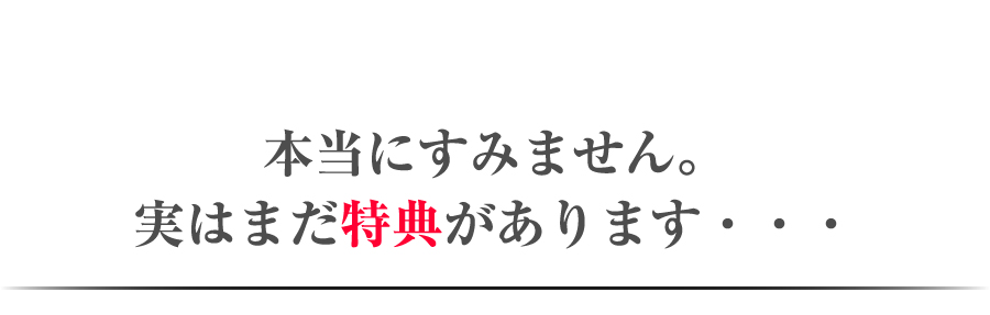 本当にすみません。実はまだ特典があります・・・