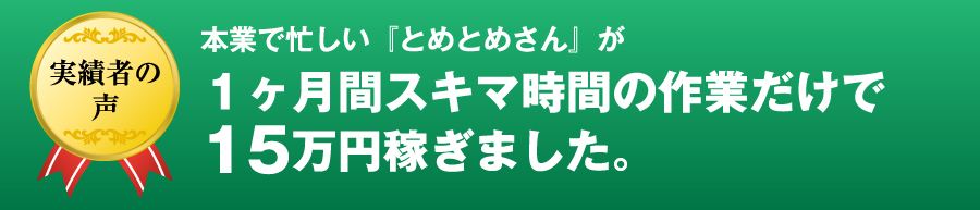 本業で忙しいとめとめさんが1カ月間スキマ時間の作業だけで15万円稼ぎました。