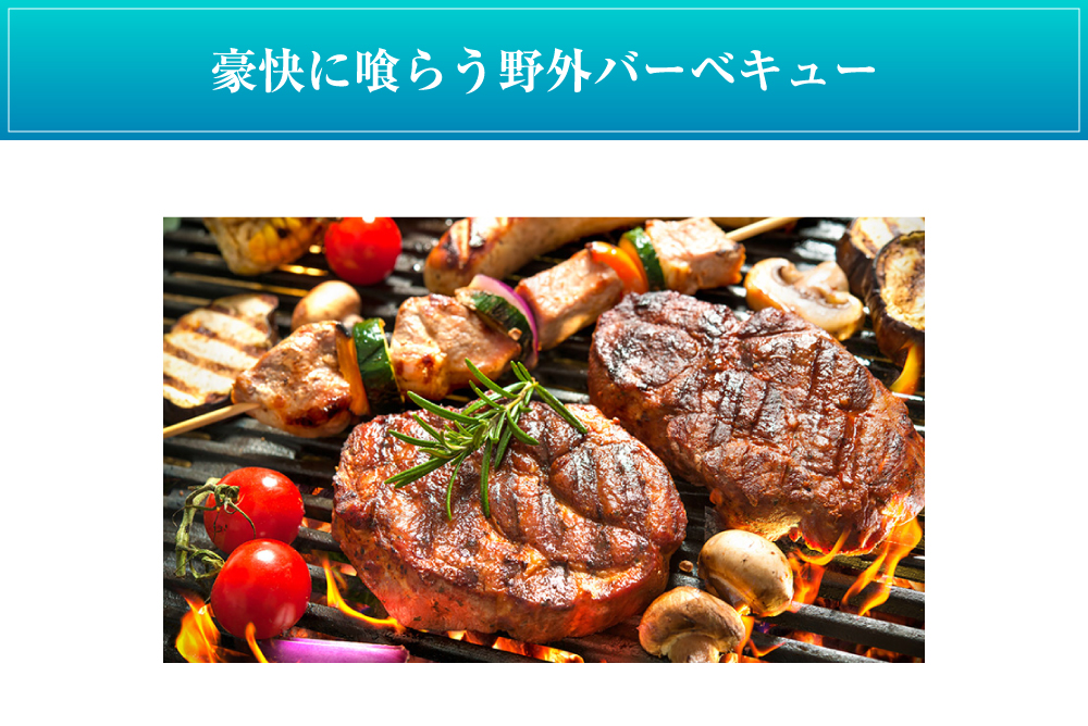 豪快に喰らう野外バーベキュー
